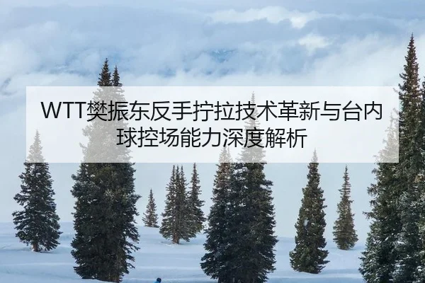 fan-zhen-dong-fan-shou-ning-la-ji-shu-ge-xin-yu-tai-nei-qiu-kong-chang-neng-li-shen-du-jie-xi-2-591.jpg